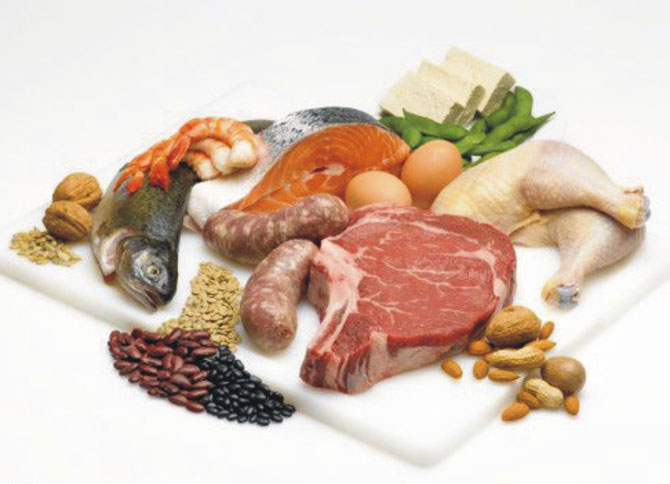 proteinhaltige nahrung