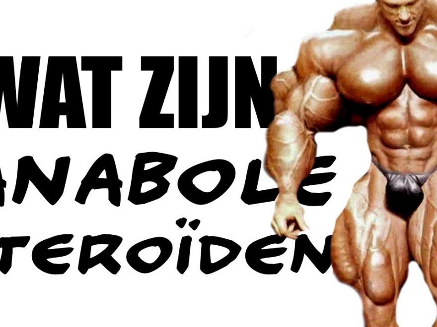 9 Ways bodybuilder steroide plan Can Make You Invincible